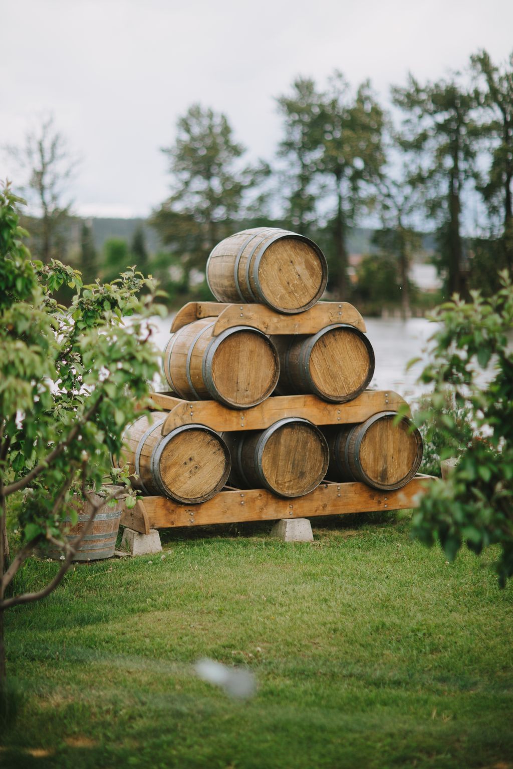 Wooden wine barrels stacked in a pyramid on a grass lawn with blurred trees and overcast sky in the background