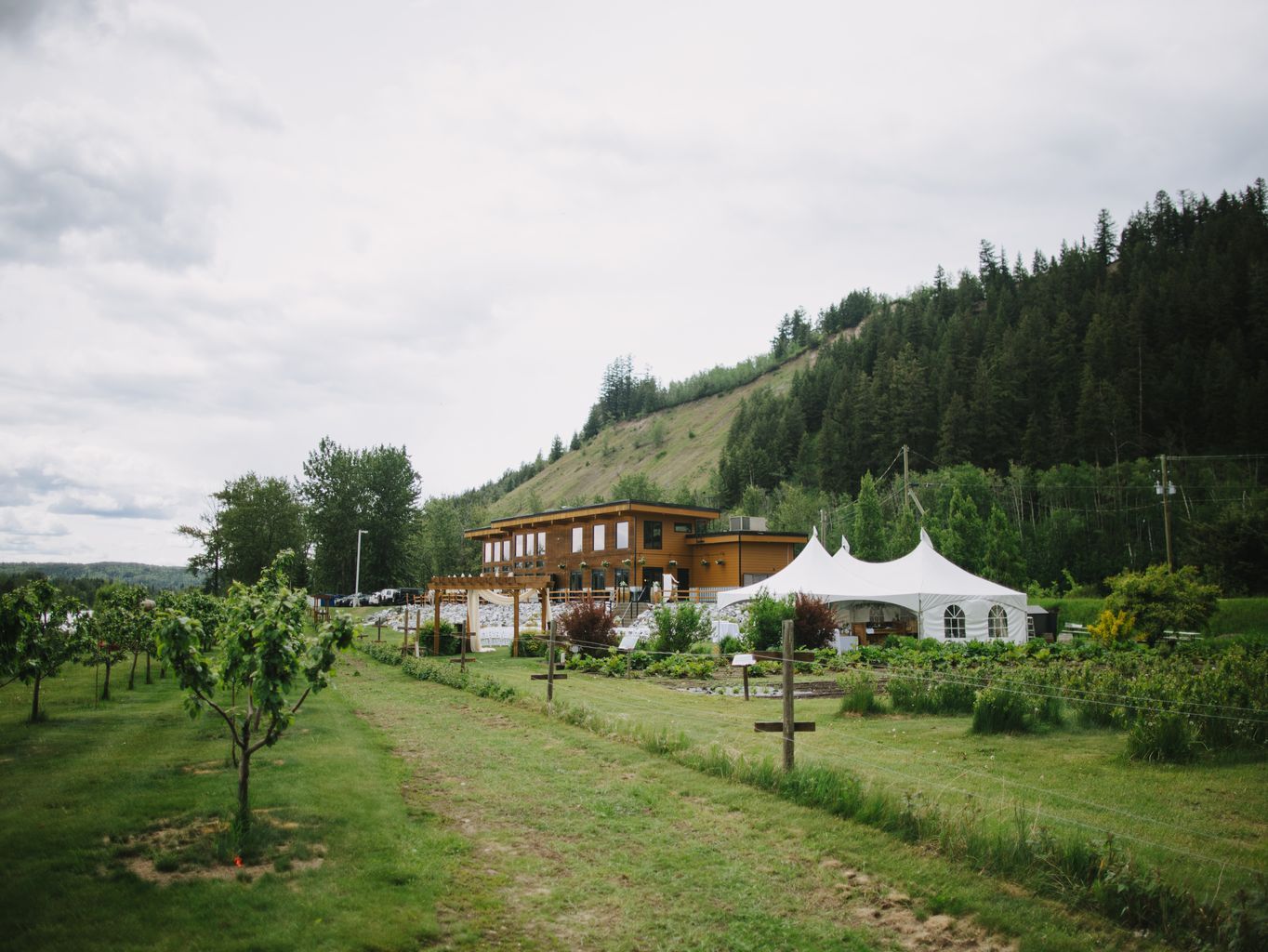 Modern wooden venue with white tent nestled against forested mountainside under overcast sky