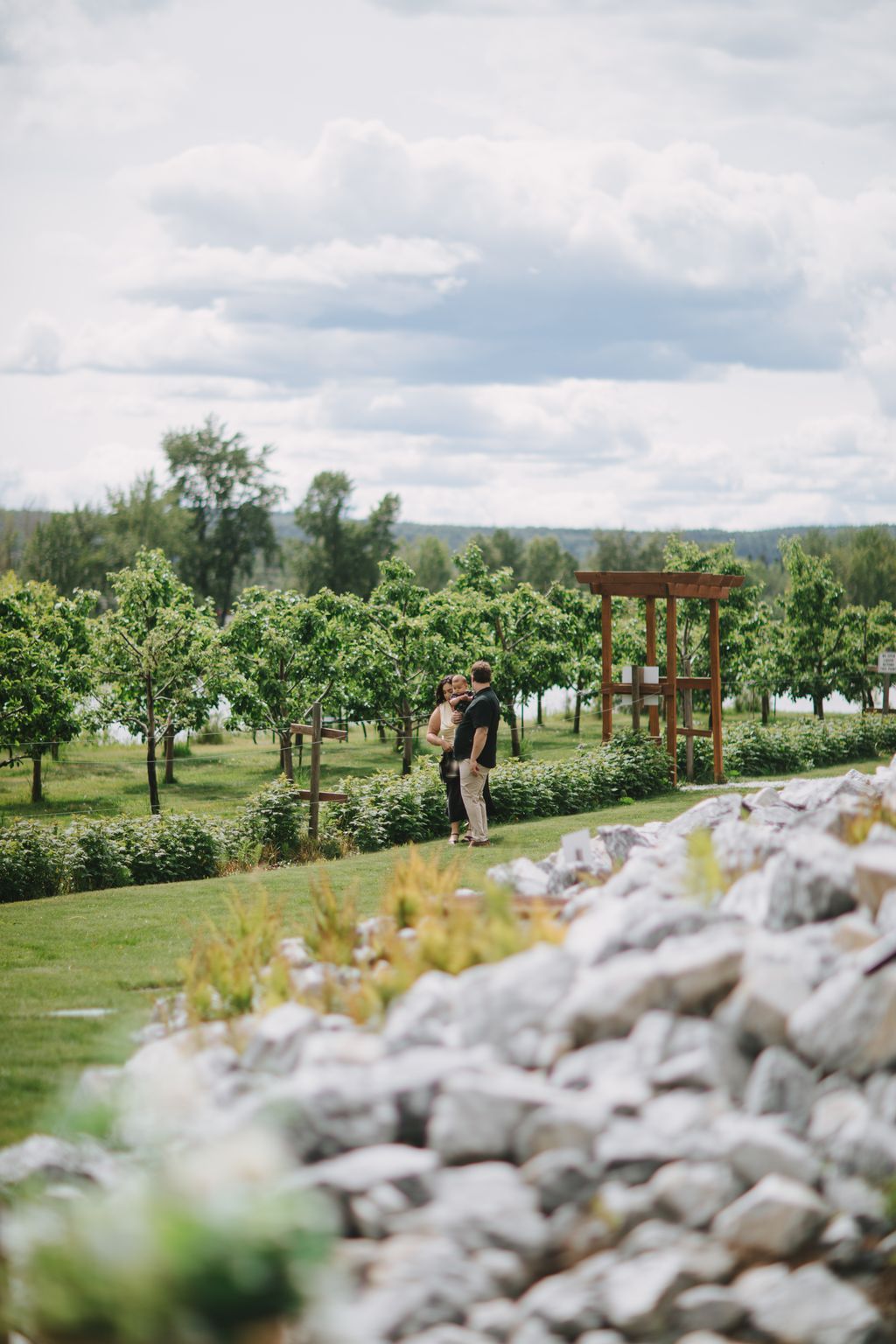 Couple embraces in a vineyard with wooden arbors, rolling hills, and dramatic cloudy sky in soft afternoon light