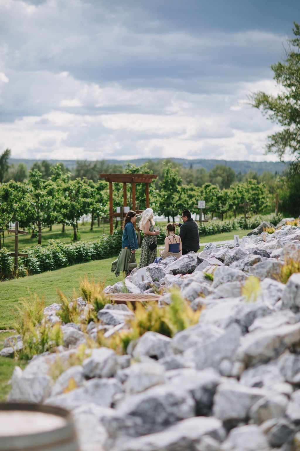 Guests gather near a wooden pergola in a sunlit vineyard garden with rolling hills and cloudy skies in the background