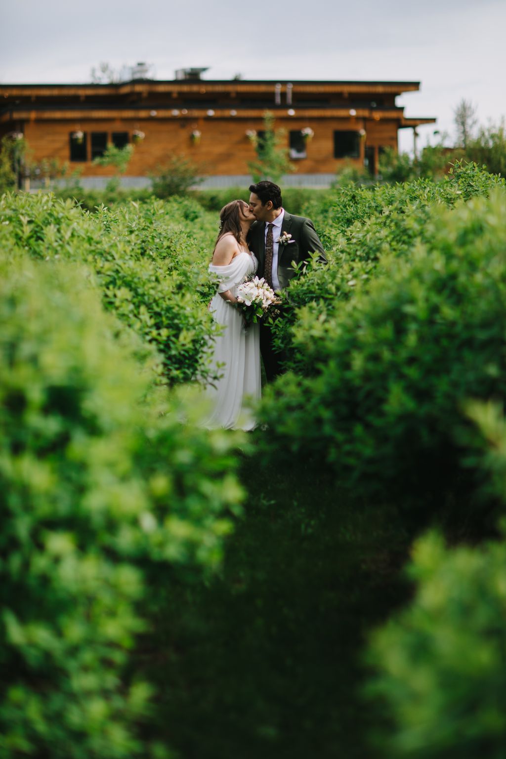 Bride and groom kiss amid lush green hedges with a brick building behind them on an overcast day
