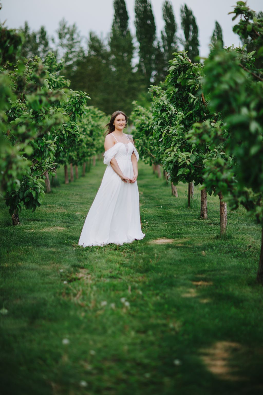 Pregnant bride in flowing white off-shoulder gown stands between green vines in lush garden with tall cypress trees