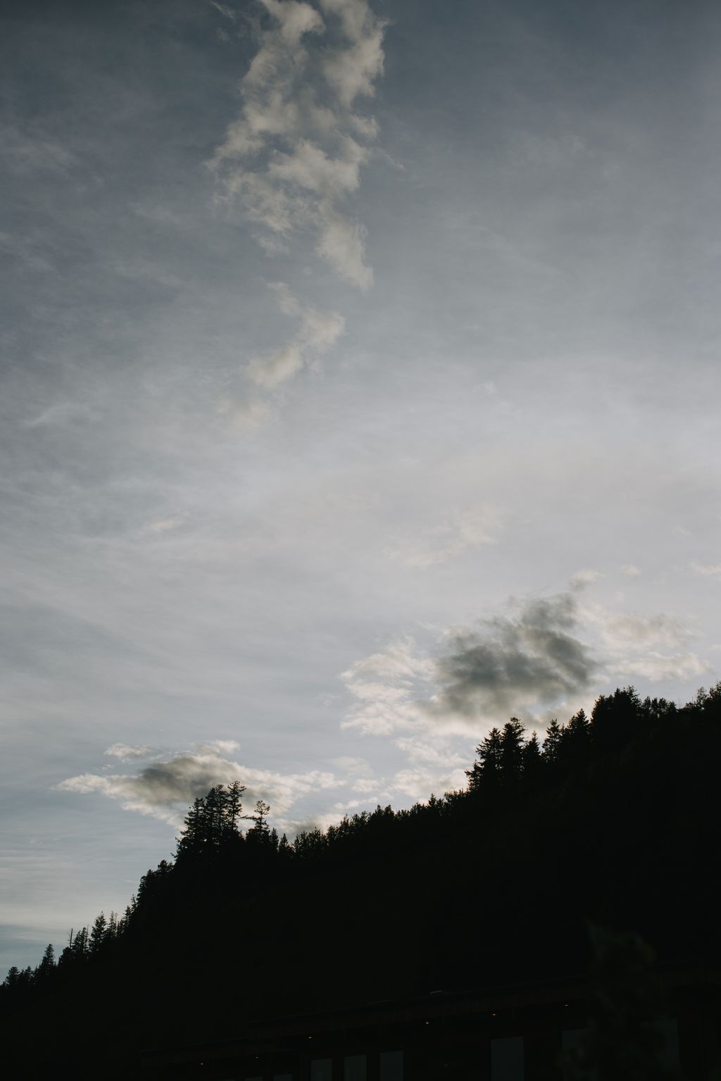 Dramatic sky with towering white clouds above a dark silhouetted forest treeline