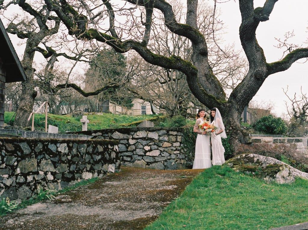 Wedding couple sheltering under bare oak branches in a stone-walled churchyard