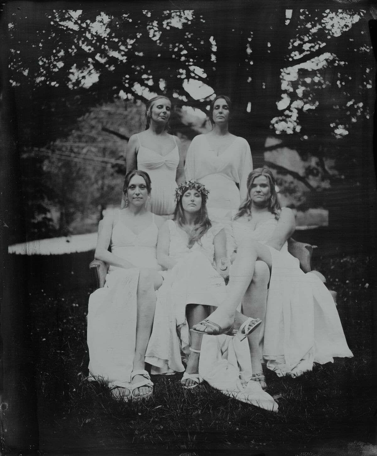 Bridal party in white gowns gathered beneath a spreading tree