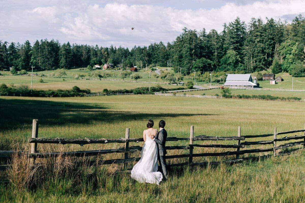 Newlyweds overlooking Ruckle Farm pastures and a distant barn