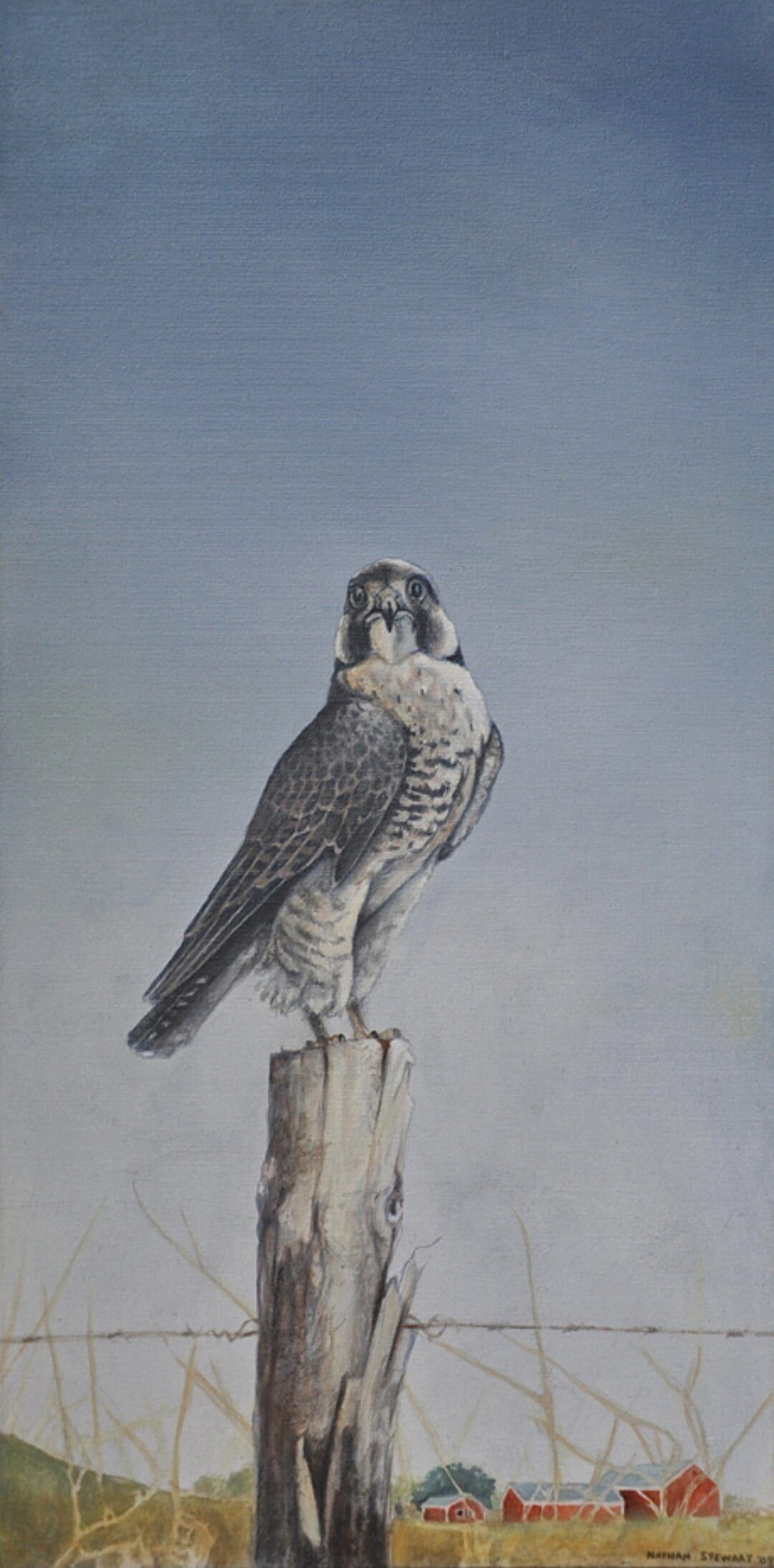 Painting of a falcon perched on a weathered fence post