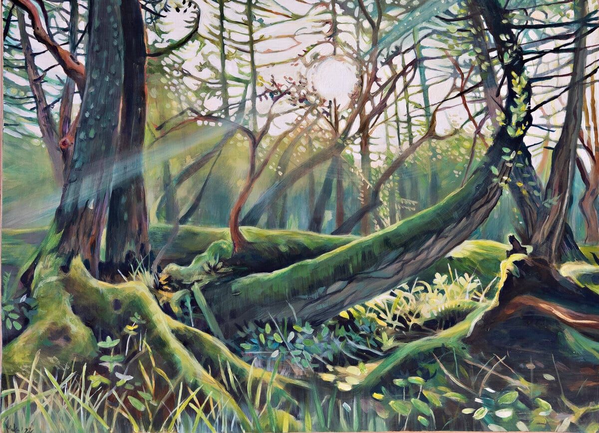 Landscape painting of sunlight streaming through a mossy West Coast forest