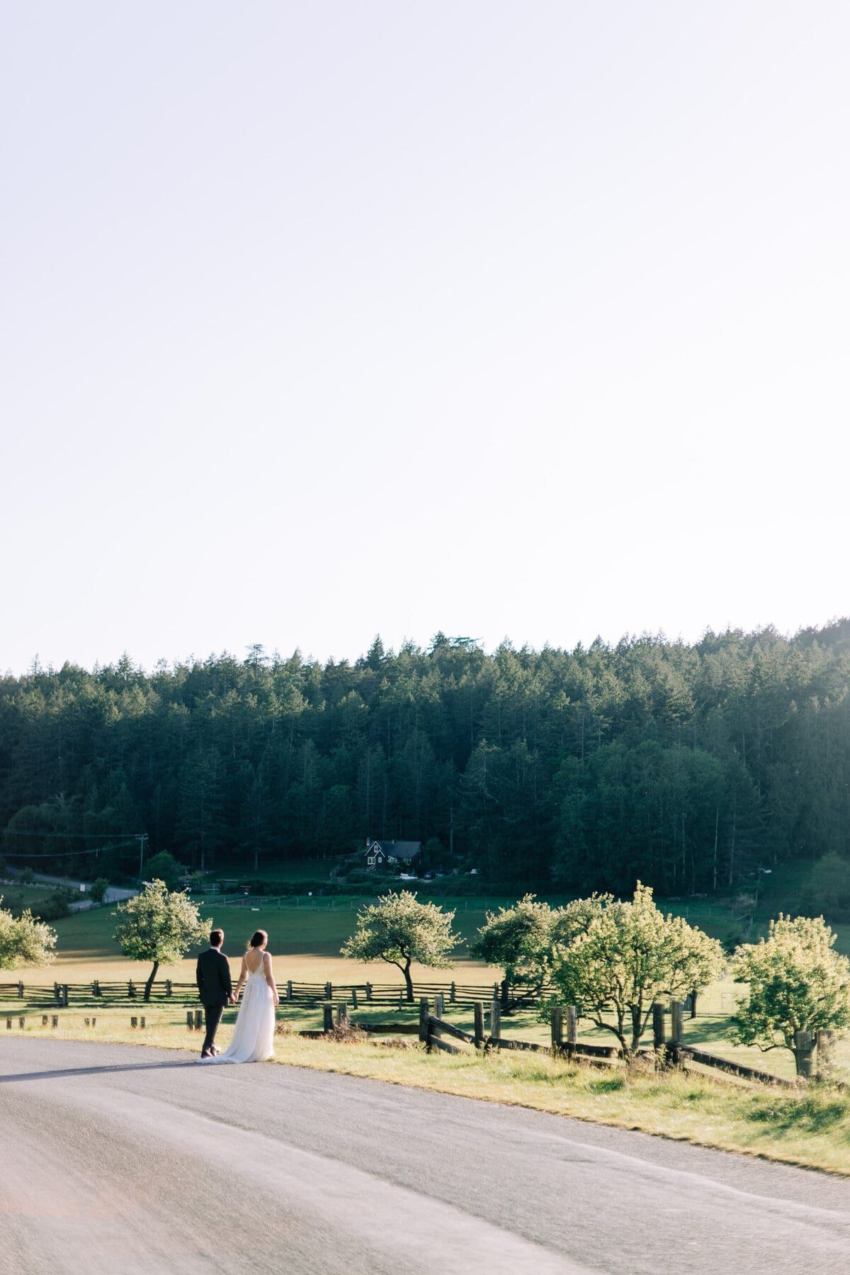 Newlyweds walking a country road past fenced pastures