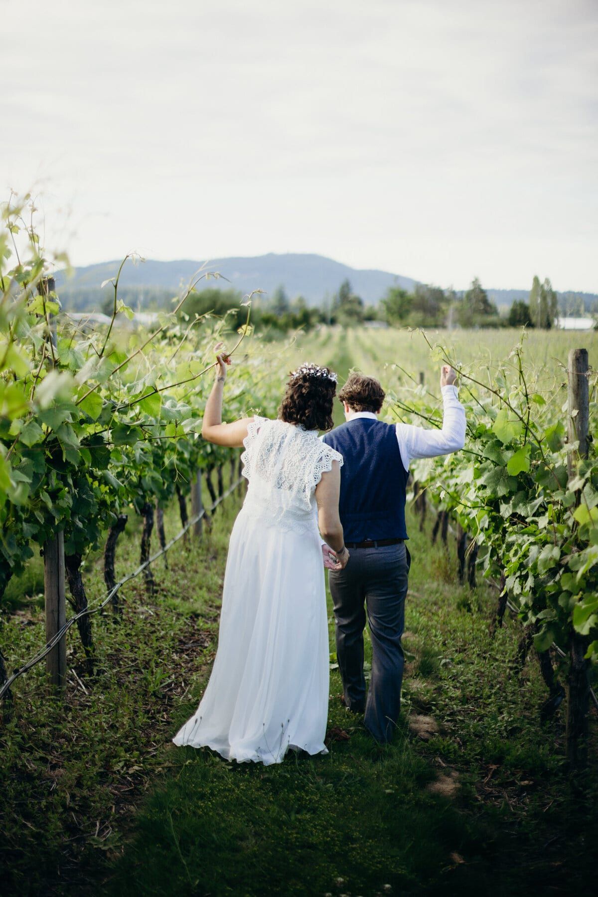 Newlyweds trailing hands along leafy vineyard rows