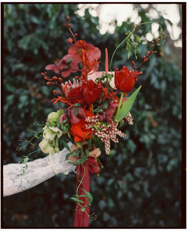 Deep red bouquet of tulips and amaryllis held against dark foliage