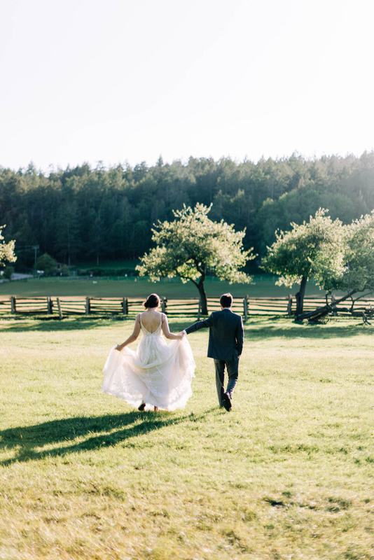 Bride and groom crossing a sunlit field hand in hand
