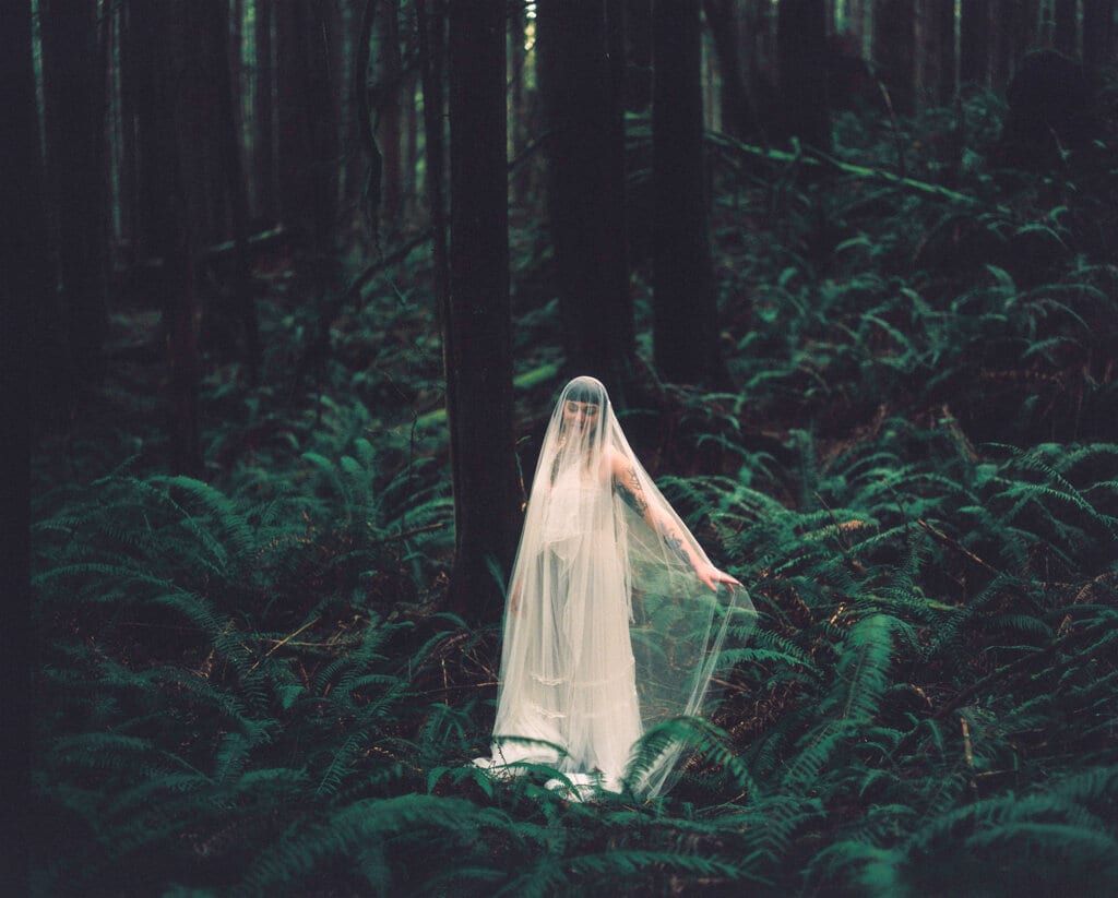Veiled bride standing among ferns deep in a dark evergreen forest