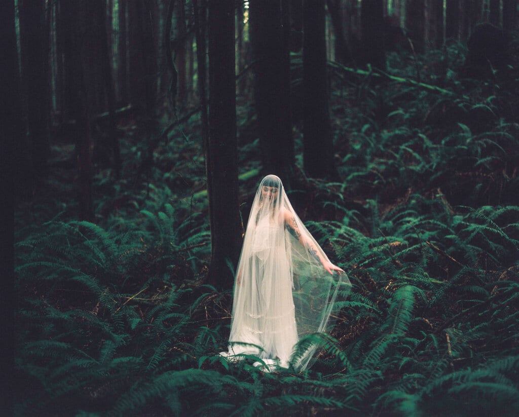 Veiled bride standing among ferns deep in a dark evergreen forest