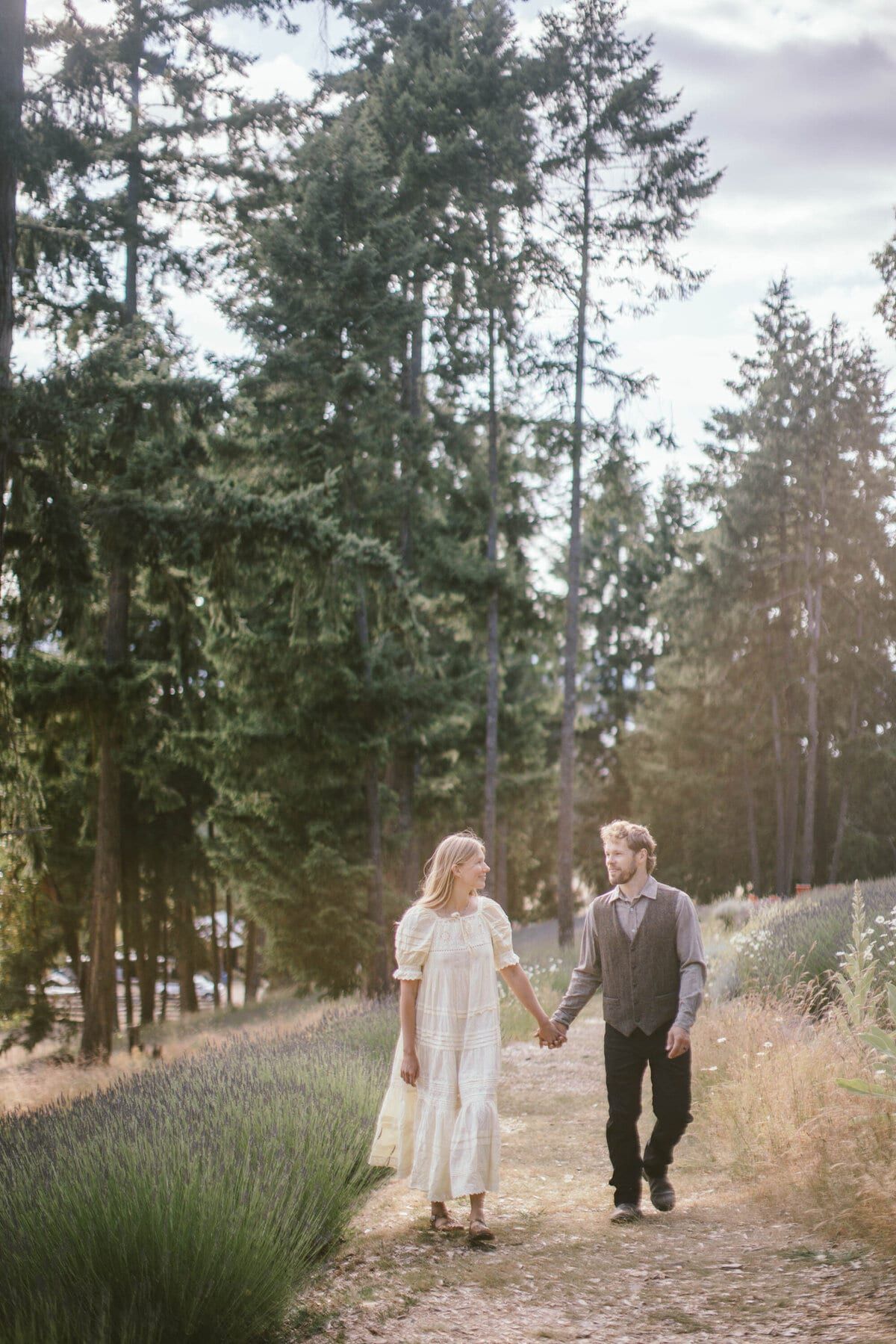 Couple strolling hand in hand between lavender rows and evergreens