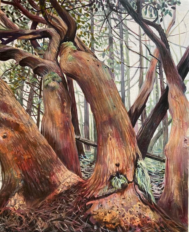 Painting of twisting arbutus trunks in a coastal forest